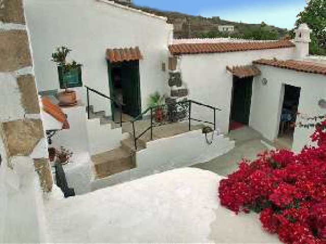Finca Martin in Arafo im Südosten von Teneriffa 