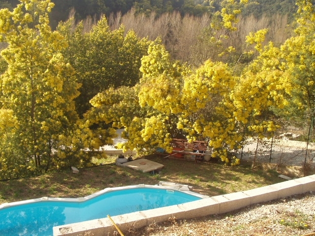Villa im Süden des france, French riviera, Neben Cannes