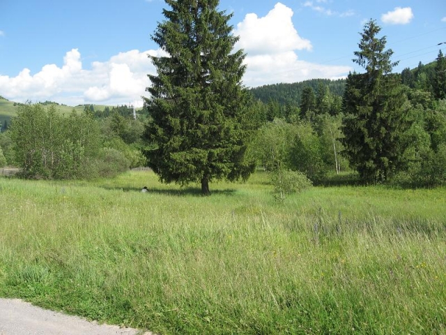 Privatgrundstück in Erholungsort Izvoru Muresului (Transilvanien /Rumänien