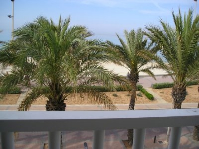 Apartment Palma auf Mallorca