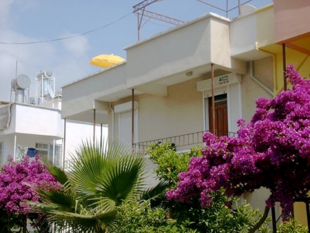 Immobilien Alanya, perfekt und nicht zu teuer