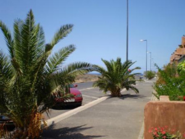 Adjona 2 in Pal Mar im Süden von Teneriffa