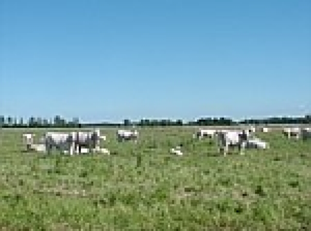 BIO Bauernhof auf Usedom