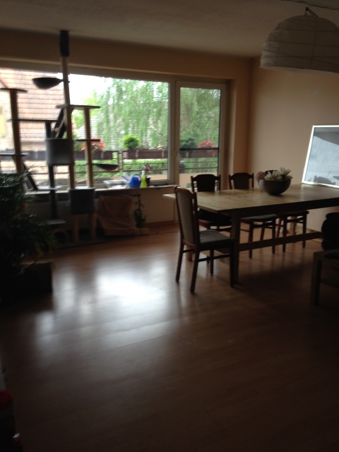 3 zimmer in ruhiger anlage 3 zimmer in ruhiger anlage