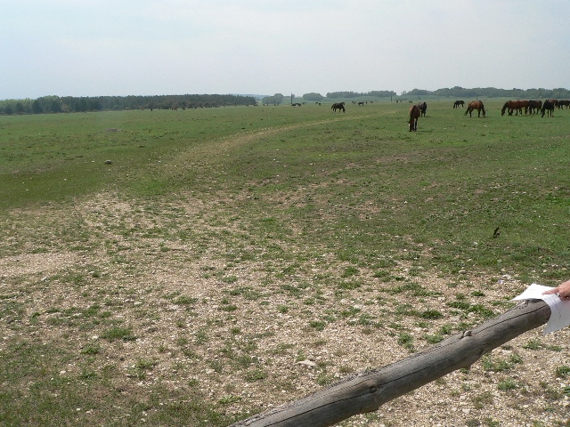 430 000 qm Gewerbegrund in Ungarn von privat