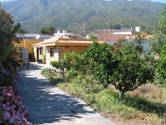 Casa Olivia bei El Paso auf La Palma