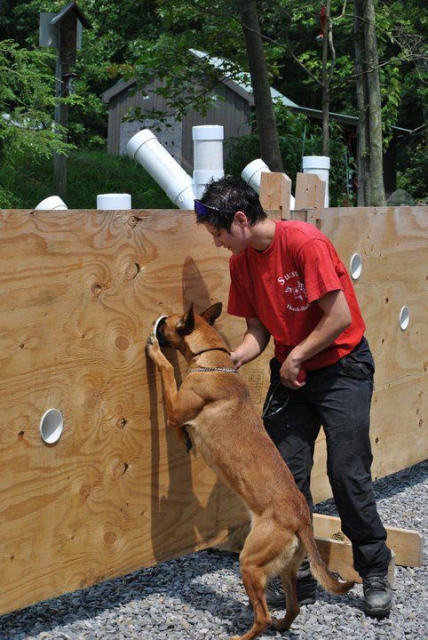 Zwecks Hundehaltung, Bauernhaus, Hof, Reiterhof Umgebung Viersen zum Pachten ges