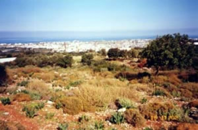 Ihr Baugrundstueck nahe Malia/Griechenland