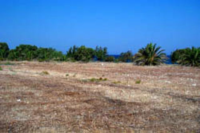 Unser Angebot auf der Insel Rhodos/Dodekannes/Griechenland