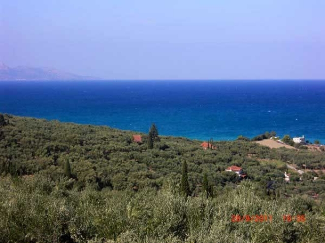 Unser Angebot auf der Insel Zante/Ionische Insel/Griechenland