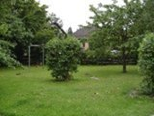 Top Grundstück - Top Preis