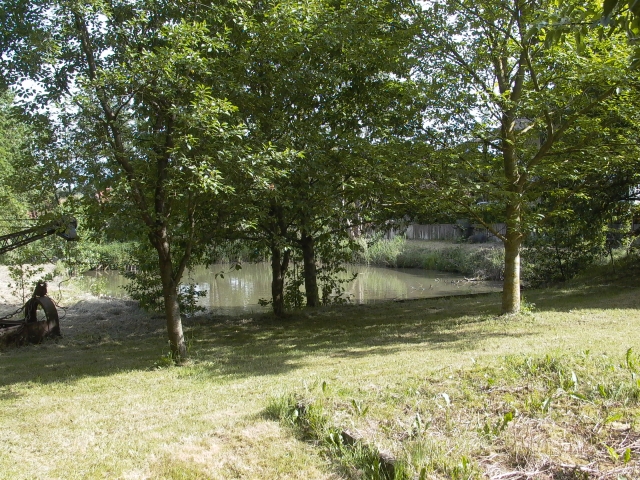 Schönes Wald Weiher ( Teich ) Grundstück ca. 10000qm,mit Hütte ca.30qm