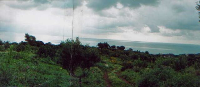 Grundstueck nahe Kalamata/Griechenland