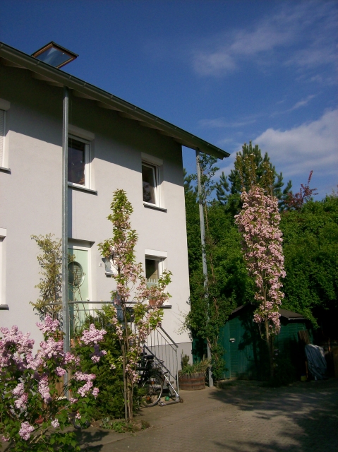 Reihenhaus bei Freiburg i.Brsg.