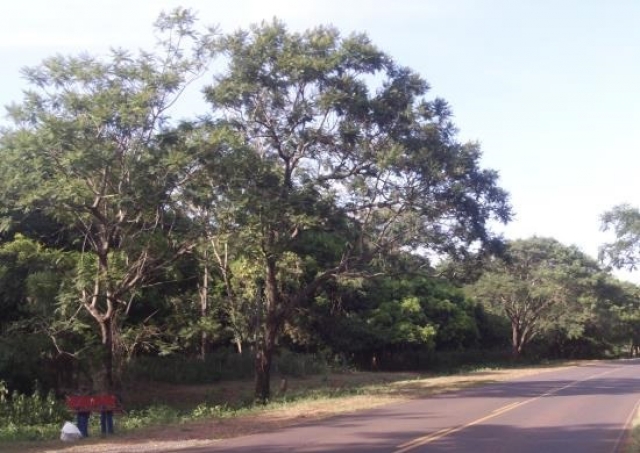 Paraguay Independencia Einmalige Lage 111.010 m  DIREKT am Asphalt 100.000 Euro