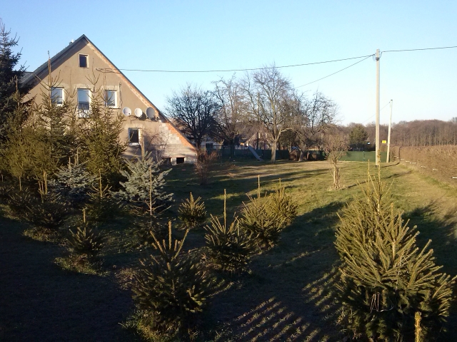Schönes Einfamilienhaus in traumhafter Lage zu verkaufen
