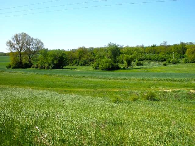 5,2 ha Grundstück mit Thermalwasser in Ungarn, 15 km vom Plattensee