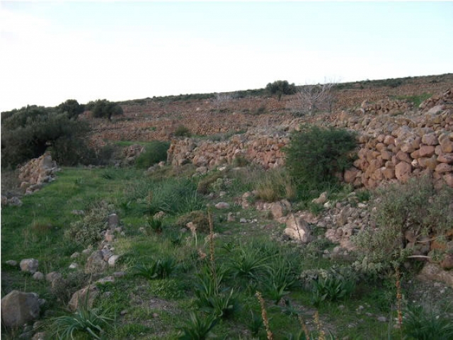 Neubauvorhaben Einfamilienhaus auf Aegina / Griechenland
