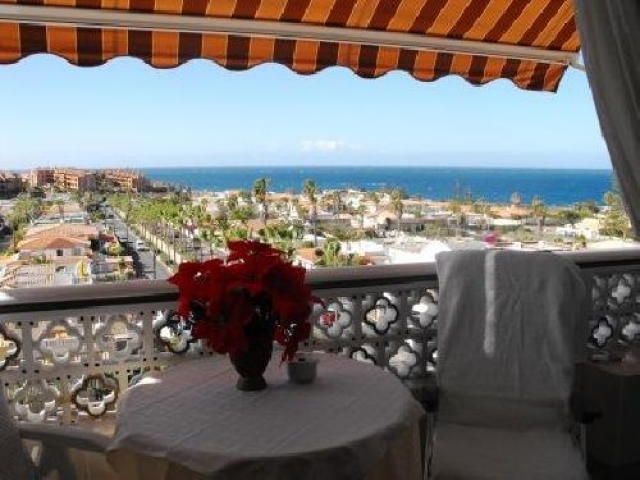 Ferienwohnung auf Teneriffa - Appartment Flamingo 2