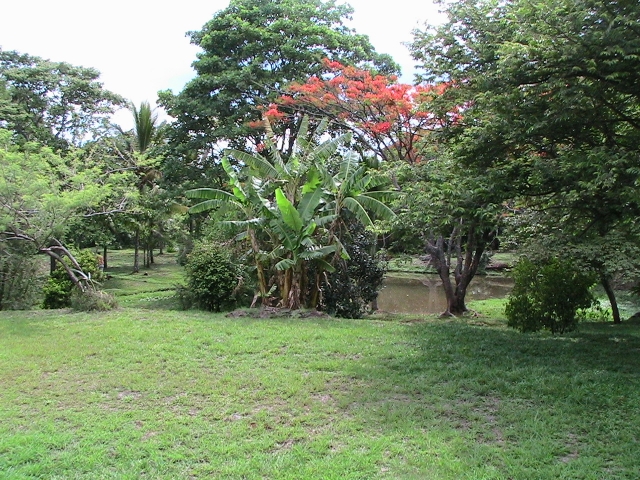 Costa Rica - Privatmann sucht Investor-Käufer-Partner-Kapitalgeber-Finanzierung