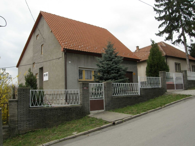 Familienhaus Ungarn