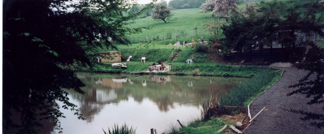 Schönes Grundstück im Donnersbergkreis mit 2 Fischteichen und 2 Hütten 
