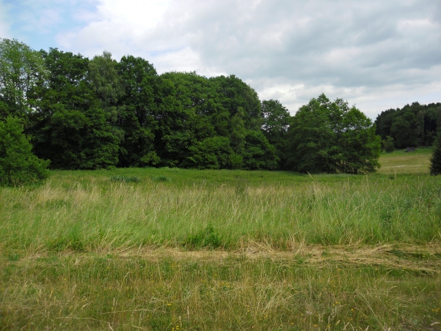 Freizeitgrundstück / Grünland / Landwirtschaft ca. 1 ha PACHTFREI !!! 5763