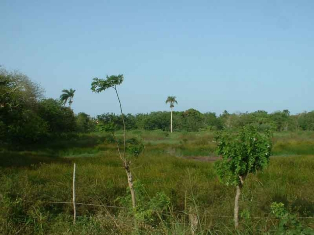 Verkaufe Bauplatz in Cabarete, in Strandnähe, 2550 m ( 1650 m , 900 m )
