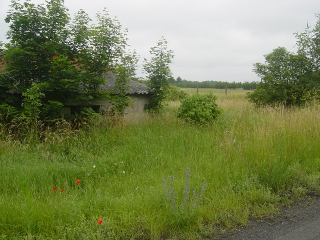 Gehöft 180 km von Berlin in Bierzwnik 8 Ha Land + Haus + Stallungen