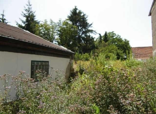 Hier ist vieles möglich! Gemütliches renoviertes Haus mit Nebengebäuden und w