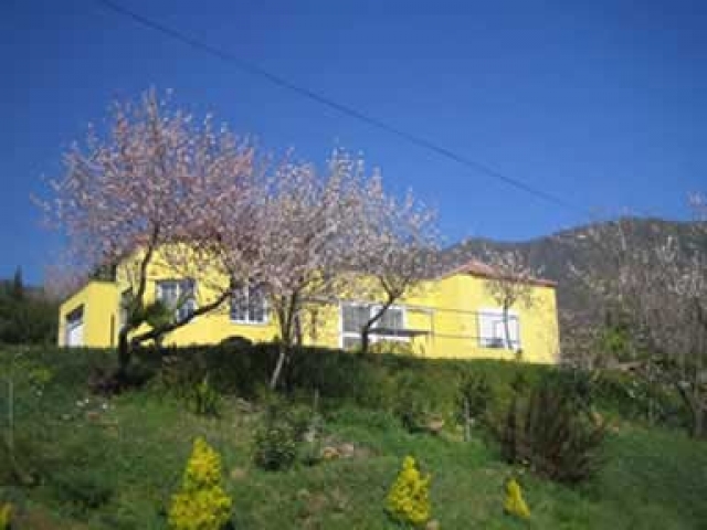 La Palma - Casa Valencia 