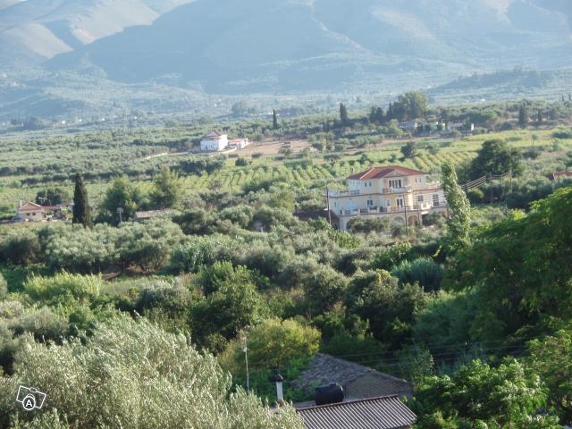 Schönes Grundstück auf Zakinthos