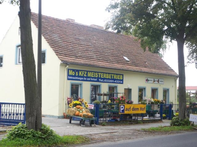 Freistehendes Gewerbegebäude mit großem Grundstück. Ideal für Autohandel.