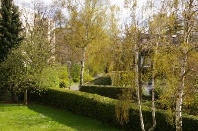 Jetzt zugreifen!!! Tolles 1-Zi.-Appartement in grüner Lage