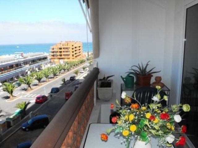 Appartment Elida - Ferienwohnung auf Teneriffa Appartment Elida - Ferienwohnung auf Teneriffa