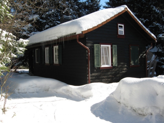 Ferienimmobilie- Steinbachhütten (Harz)