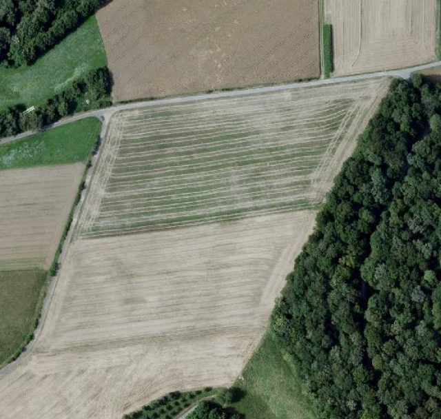 Ackerfläche in Krautheim zu verkaufen