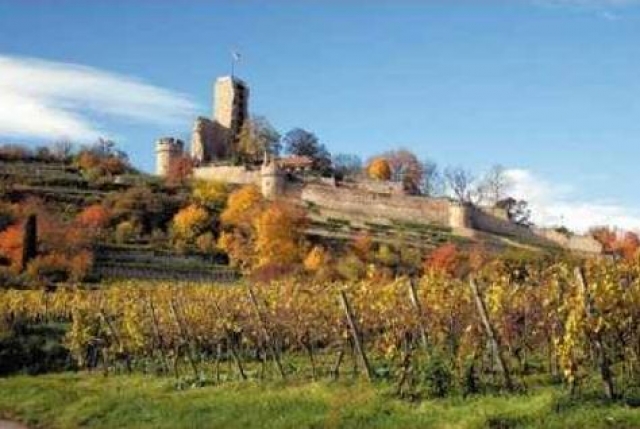 Mögen Sie Burgen, Mandelbäume, Weinreben, fröhliche Menschen?