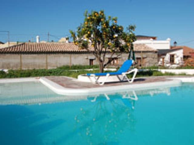 Ferien auf Teneriffa Finca San Fermin