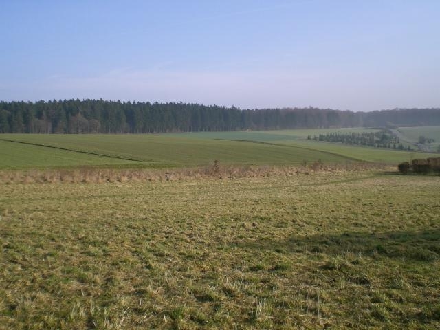 Baugrundstück in Lautert bei Nastätten in ruhiger Ortsrandlage, provisionsfrei