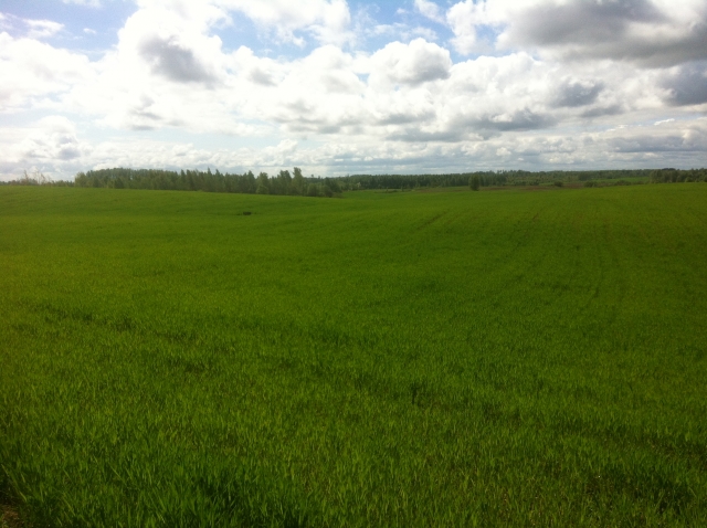 Ackerland/ Landwirtschaftliche Investition in Lettland 647ha