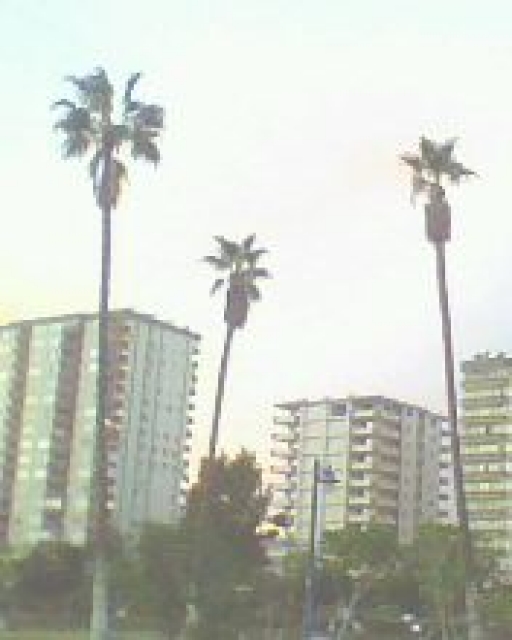 Sonnenland Turkei mittelmmeer Mersin