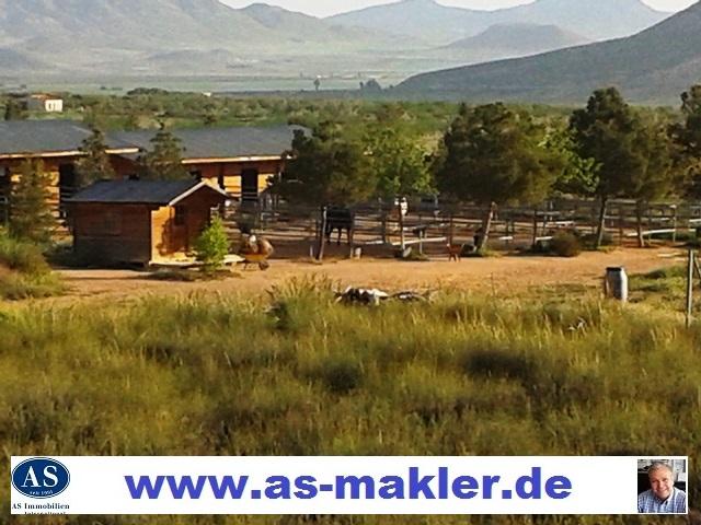 *Schnäppchen* Pferderanch mit 2 Finca auf 138000 qm Land zu verkaufen!!!