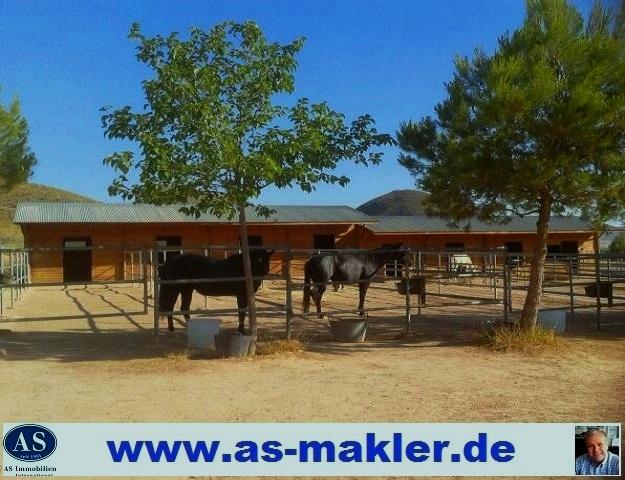 Pferderanch mit 2 Häuser auf 138000 qm Land zu verkaufen!!!